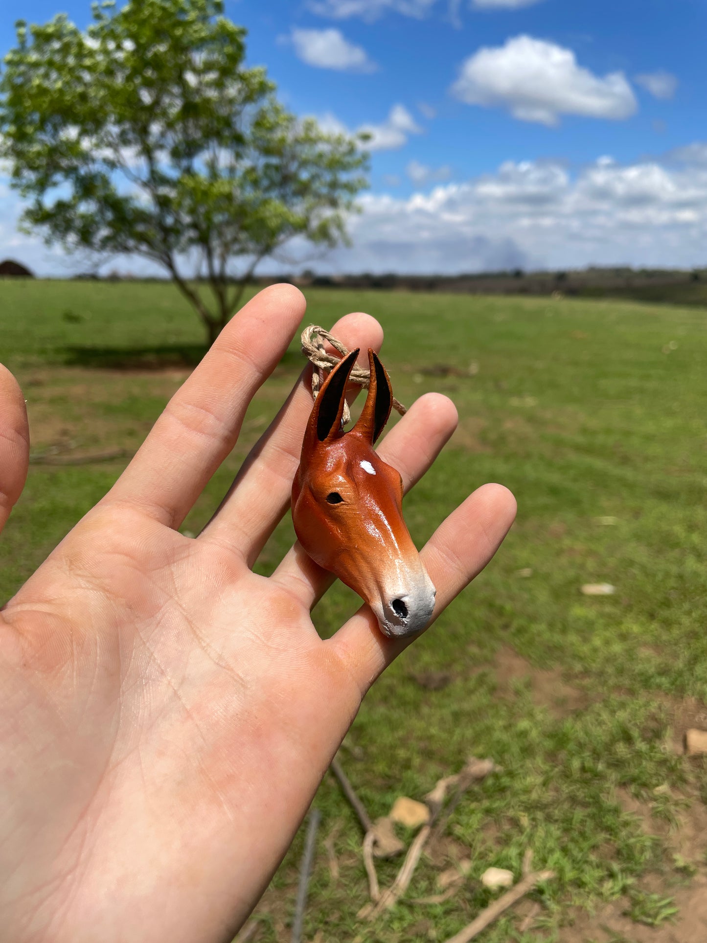 Mulinha Para Retrovisor