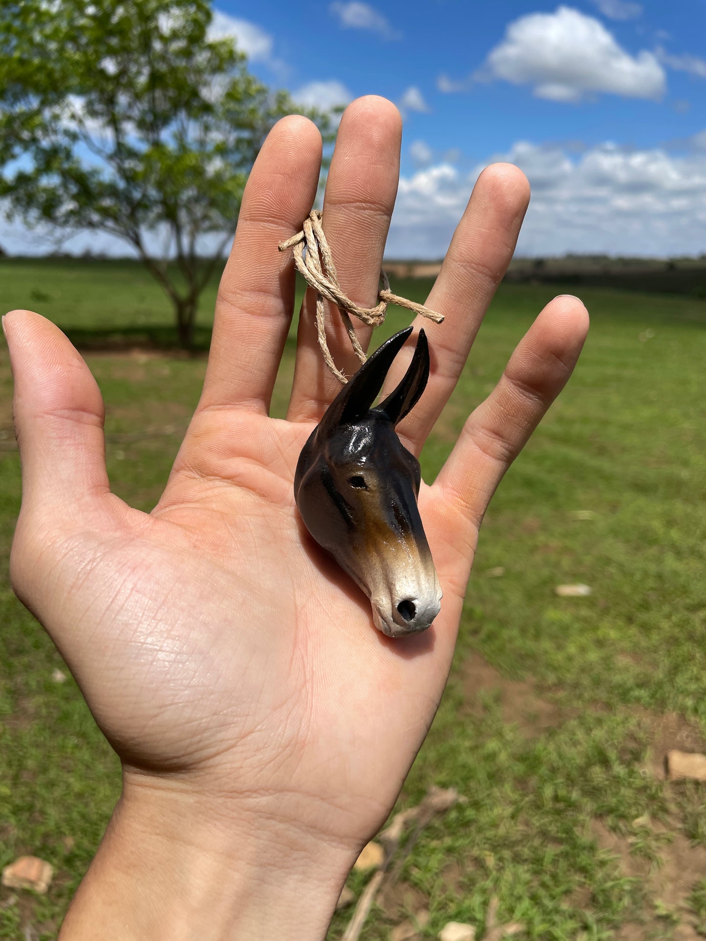 Mulinha Para Retrovisor