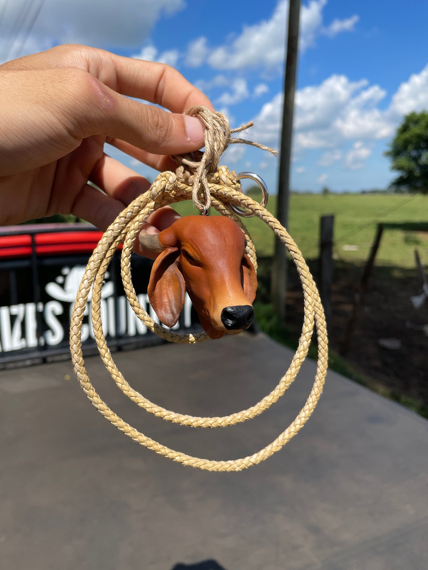 Gir para Retrovisor + Laço de BRINDE (Promoção de Lançamento)