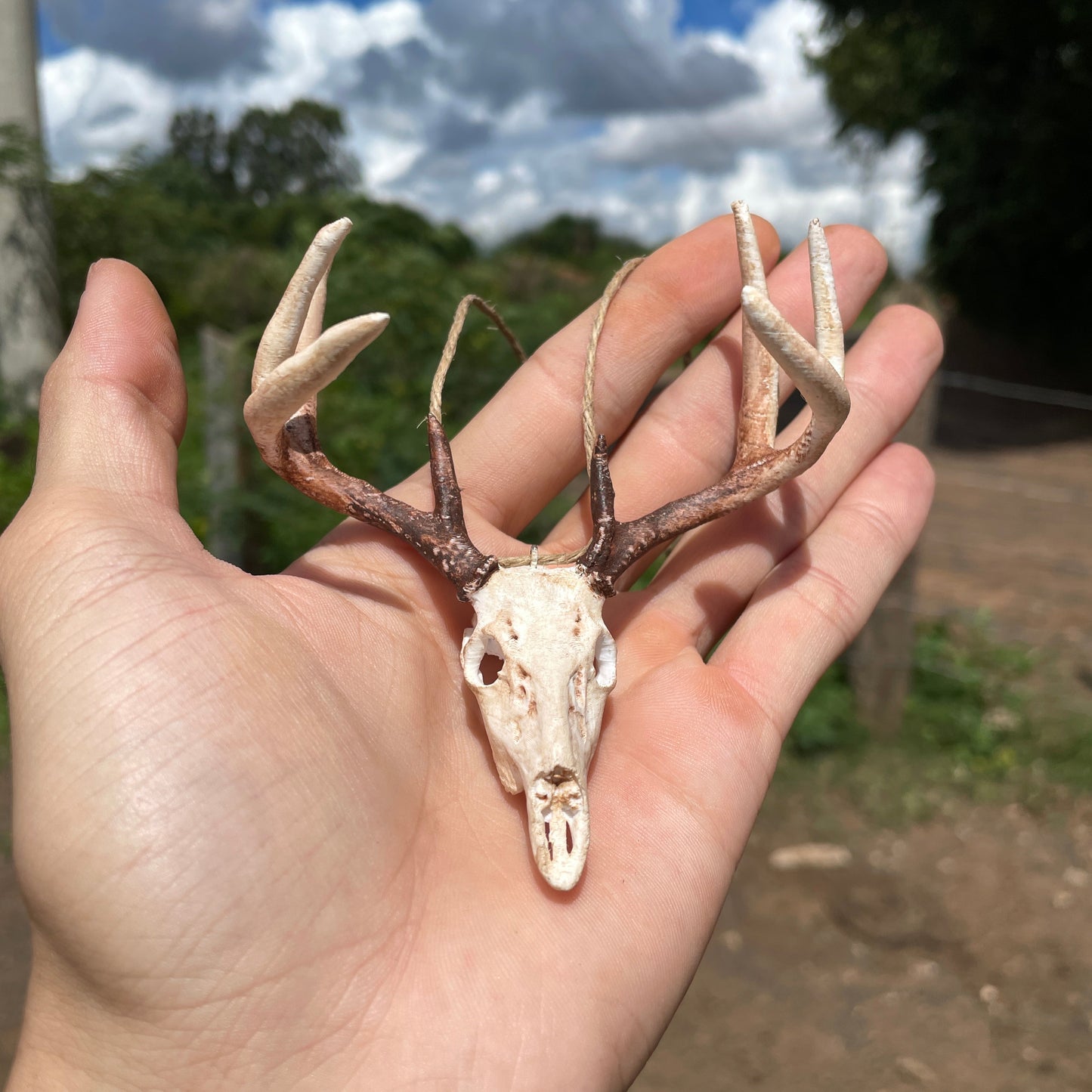 Crânio de Cervo para Retrovisor