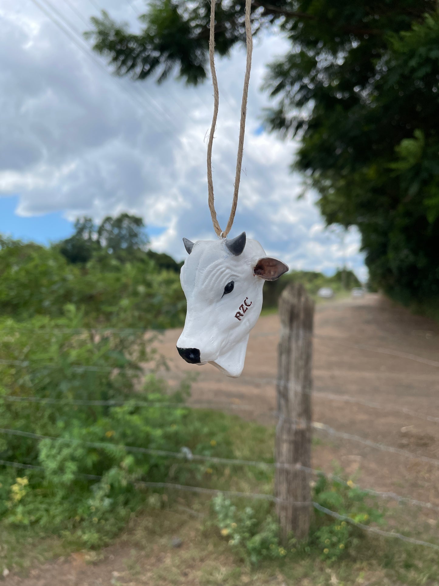 Nelore para Retrovisor