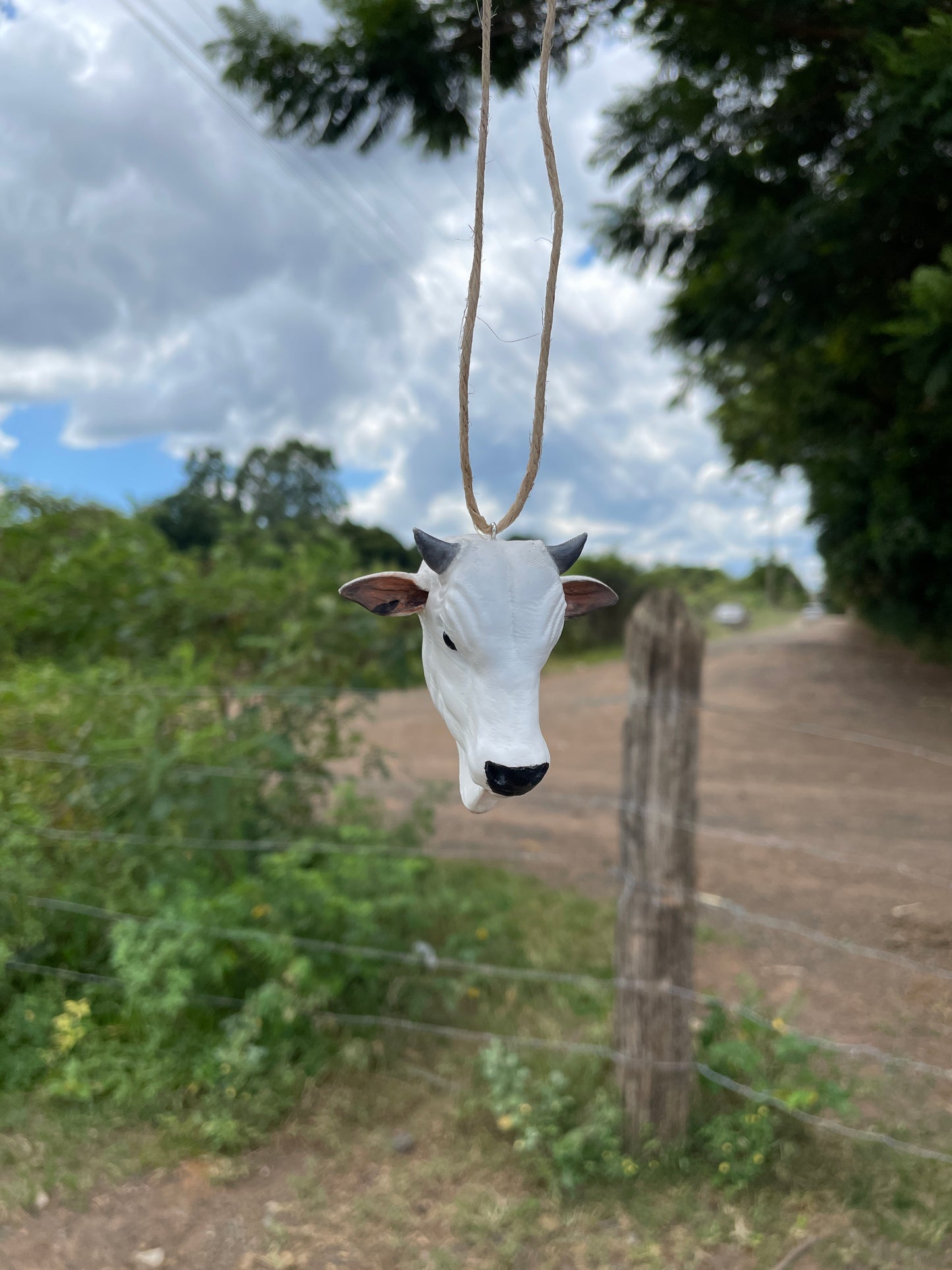 Nelore para Retrovisor