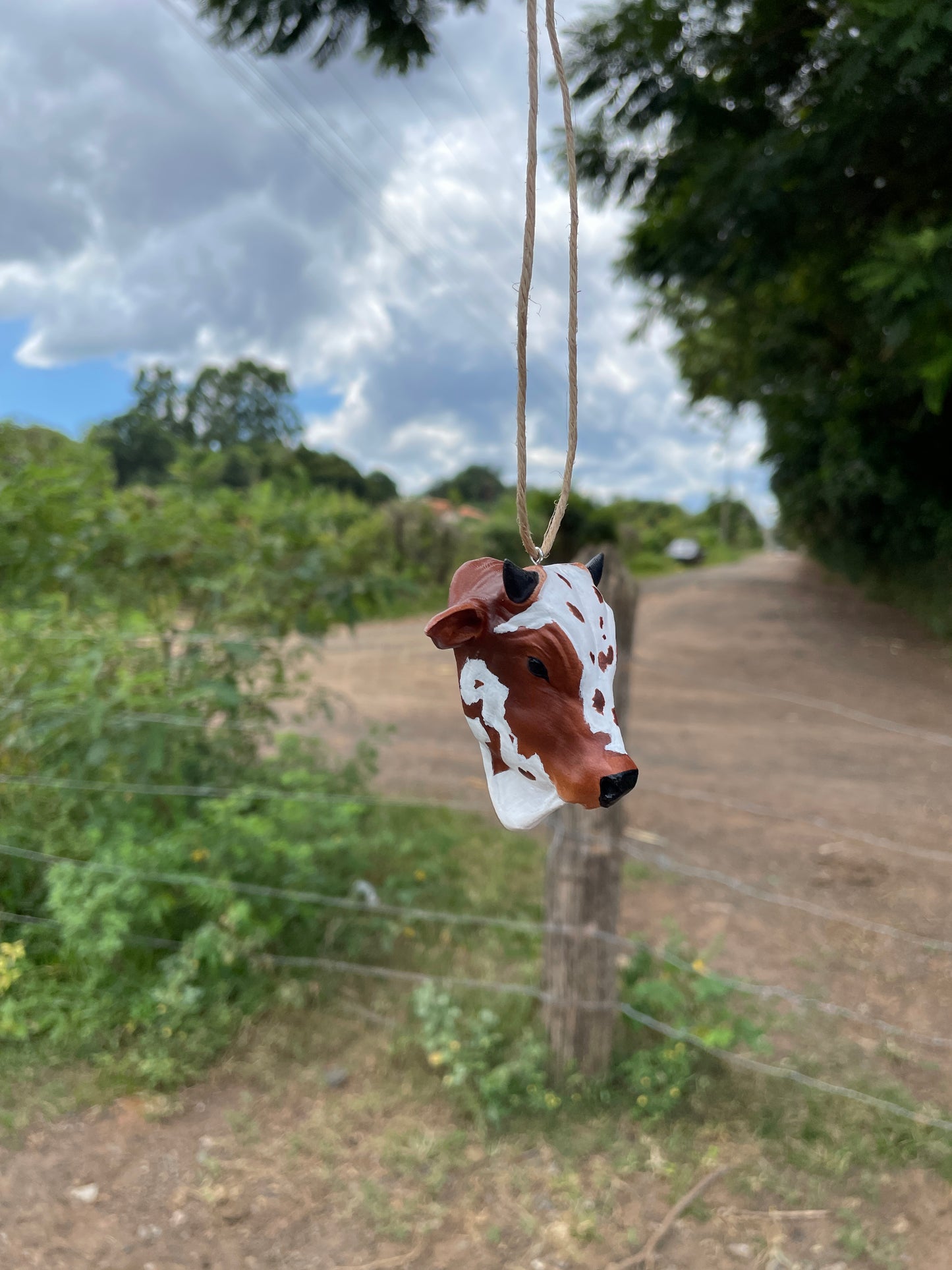 Nelore para Retrovisor