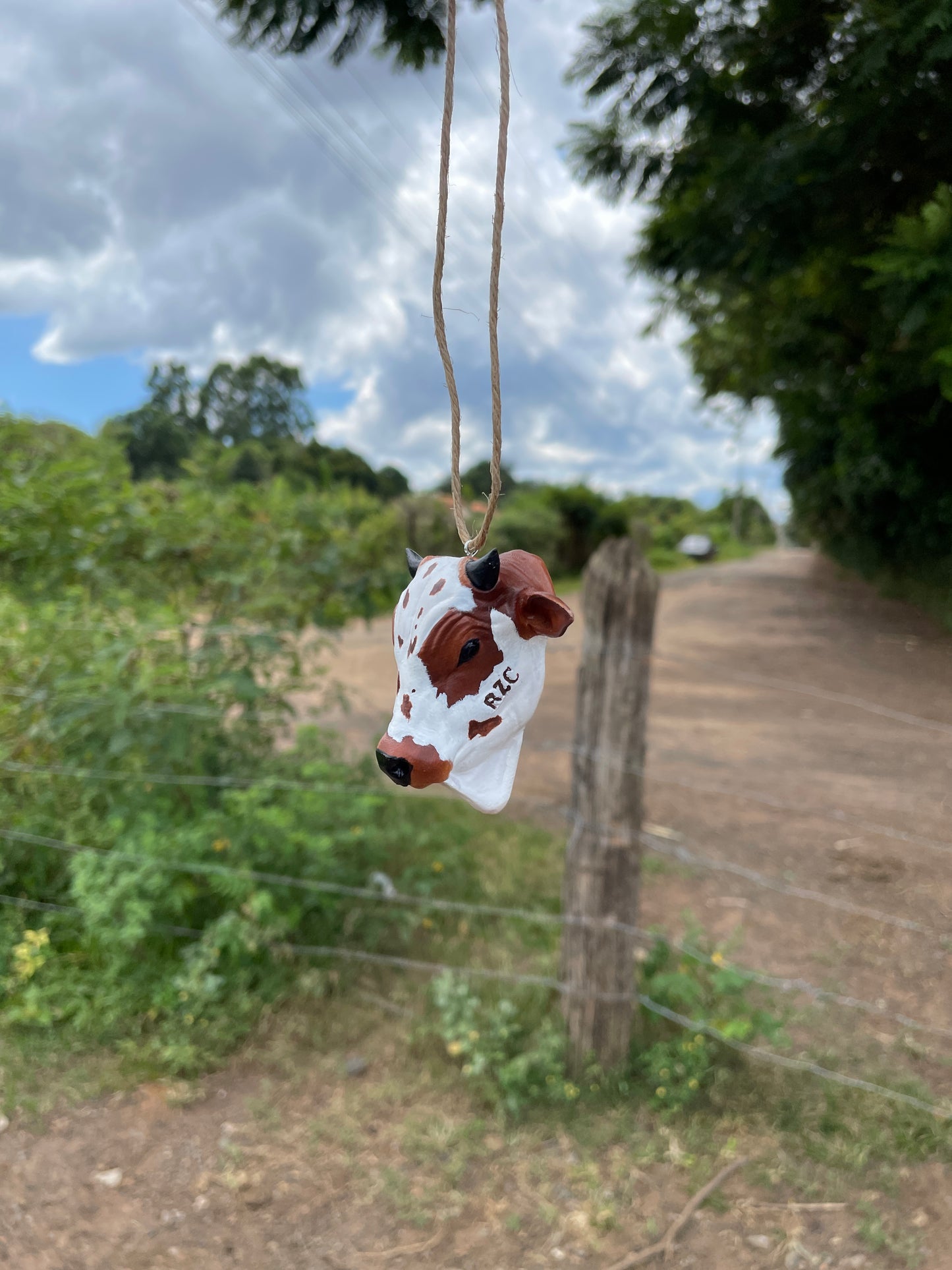 Nelore para Retrovisor