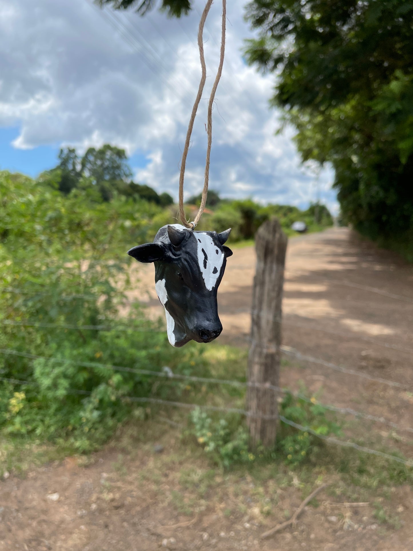 Nelore para Retrovisor