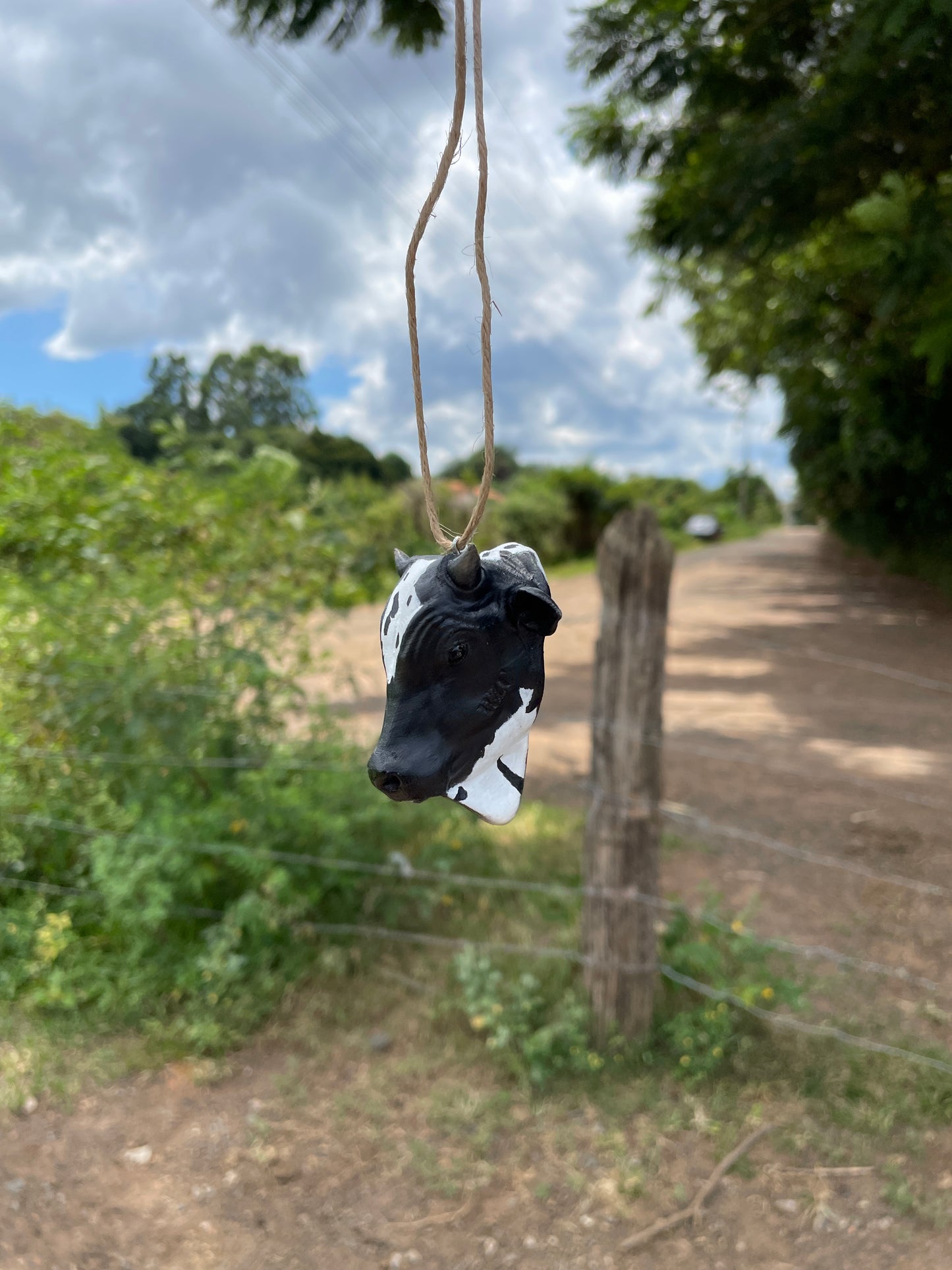 Nelore para Retrovisor