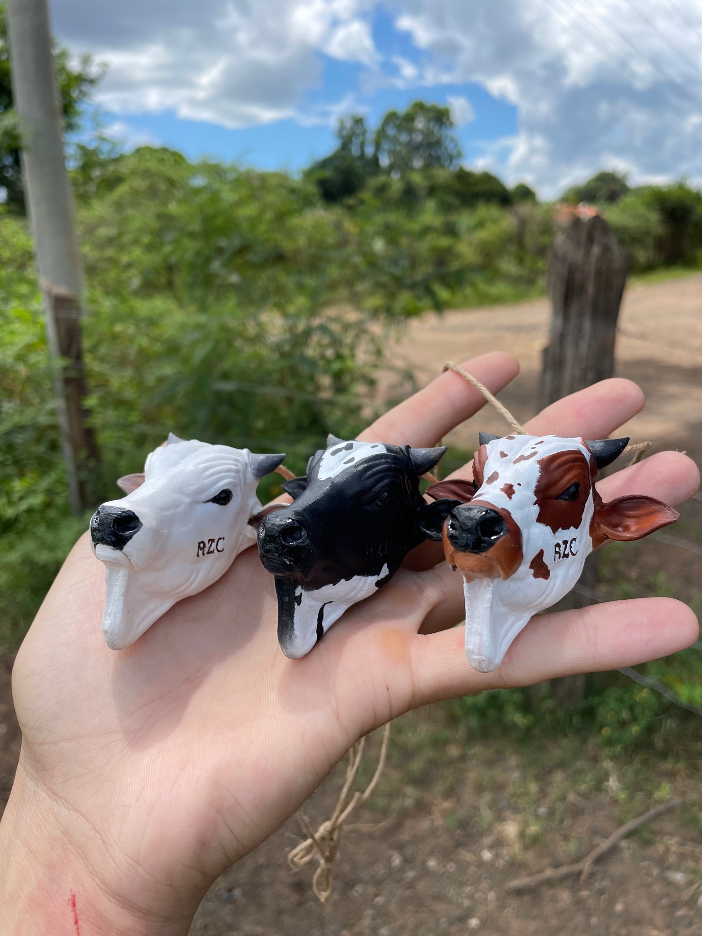 Nelore para Retrovisor