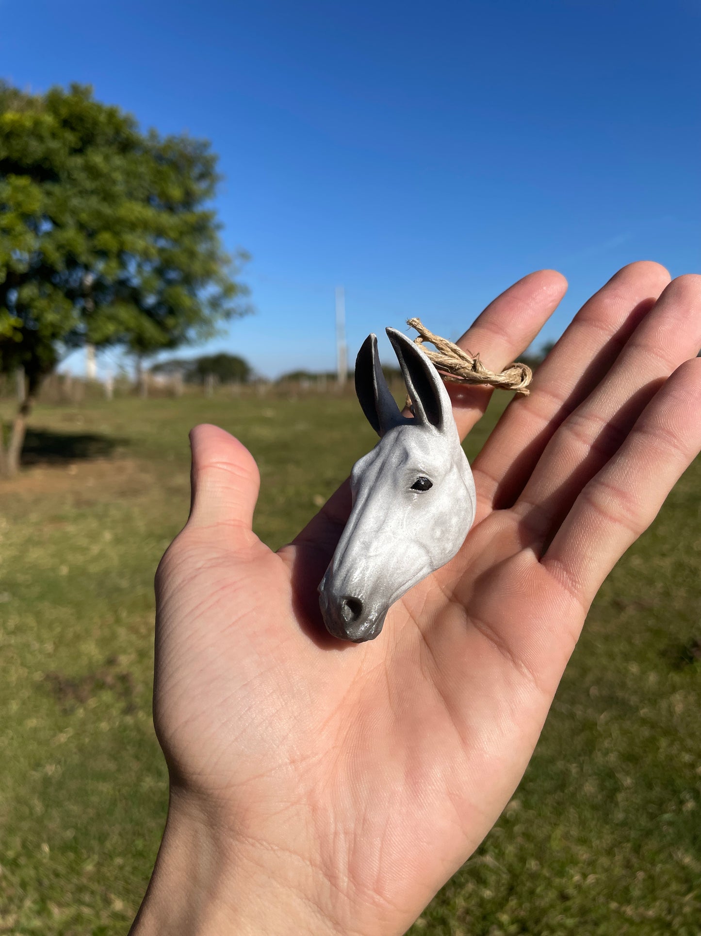 Mulinha Para Retrovisor