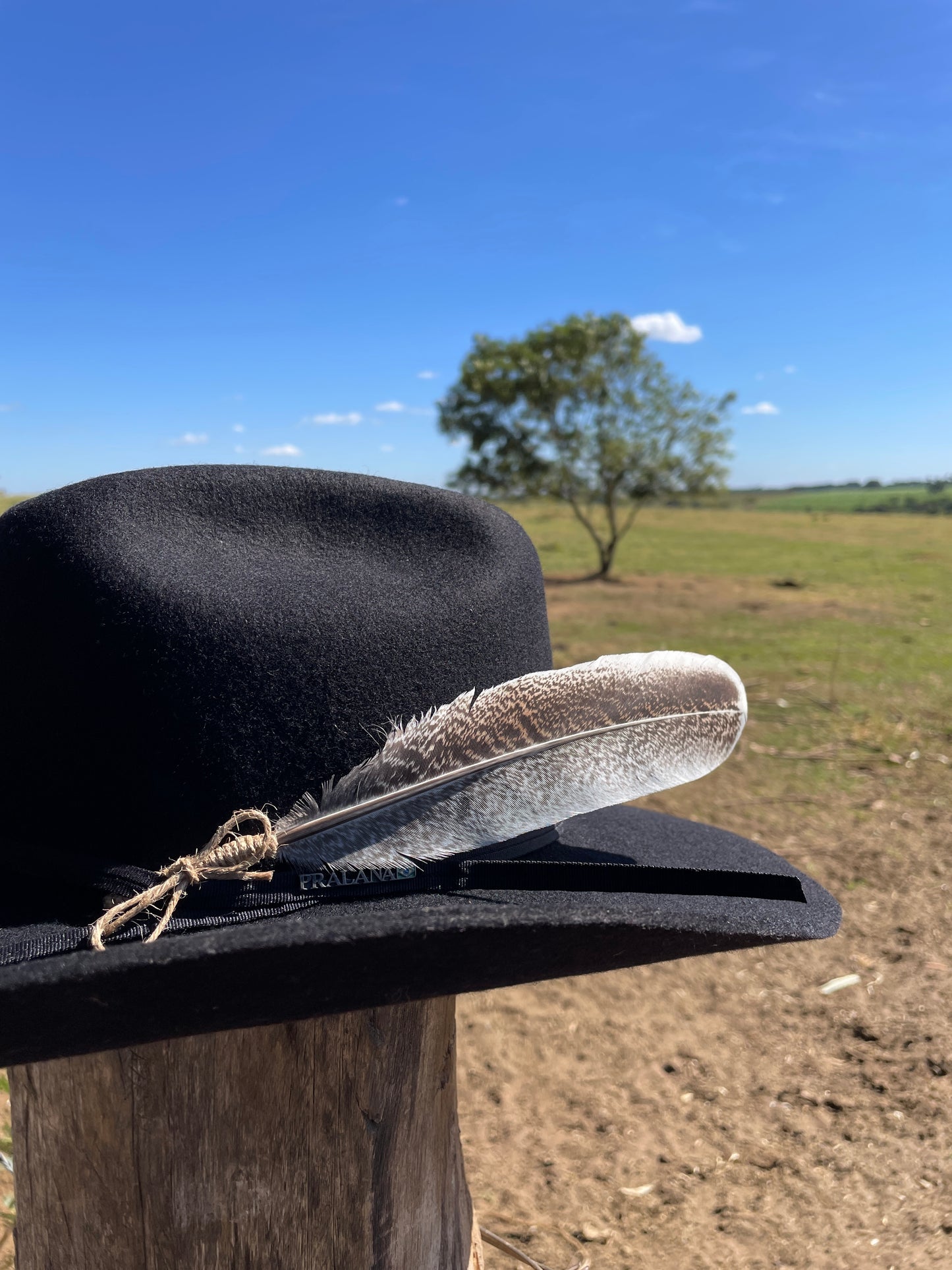 Pena Natural Modelo 3