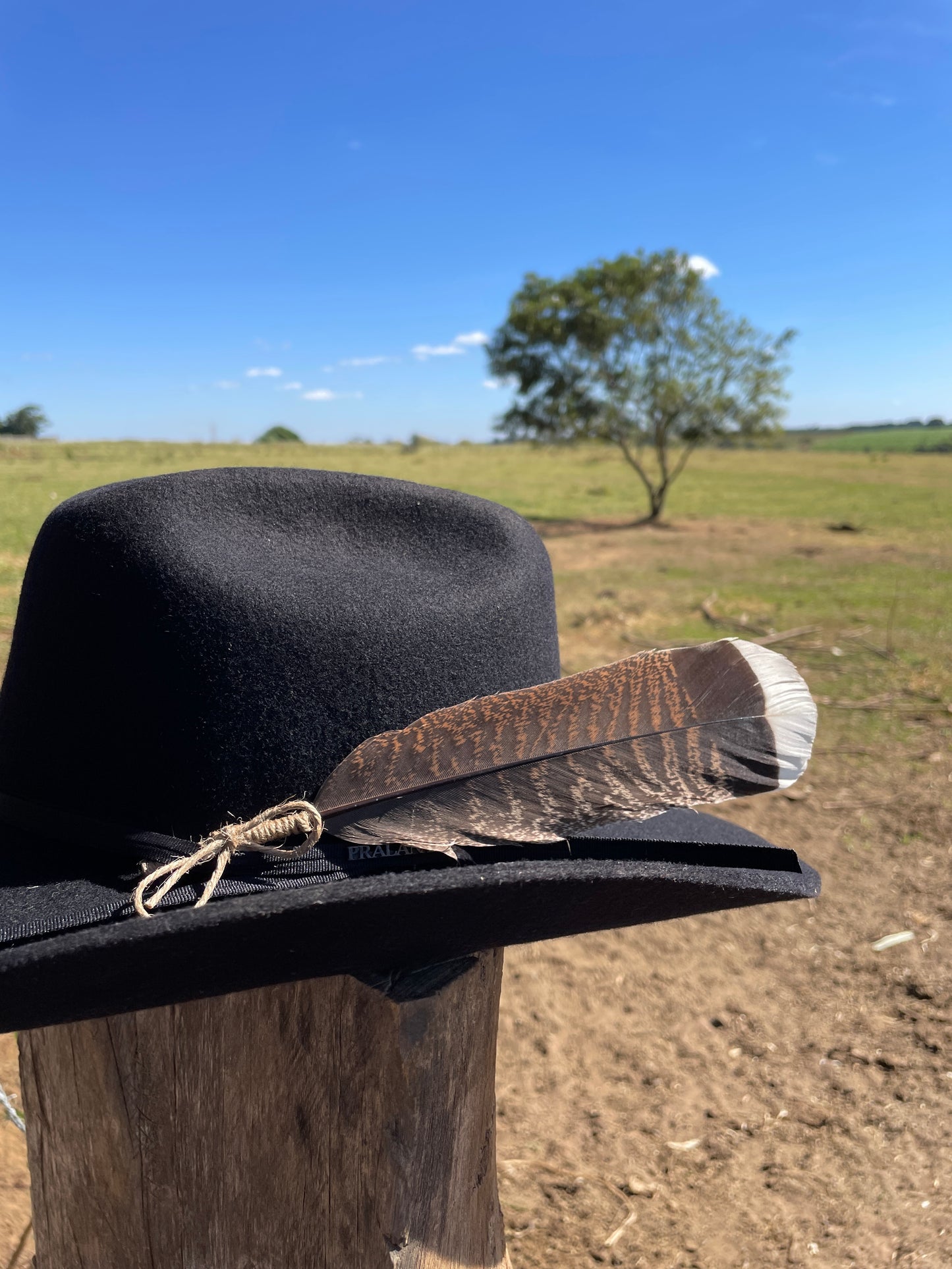 Pena Natural Modelo 1