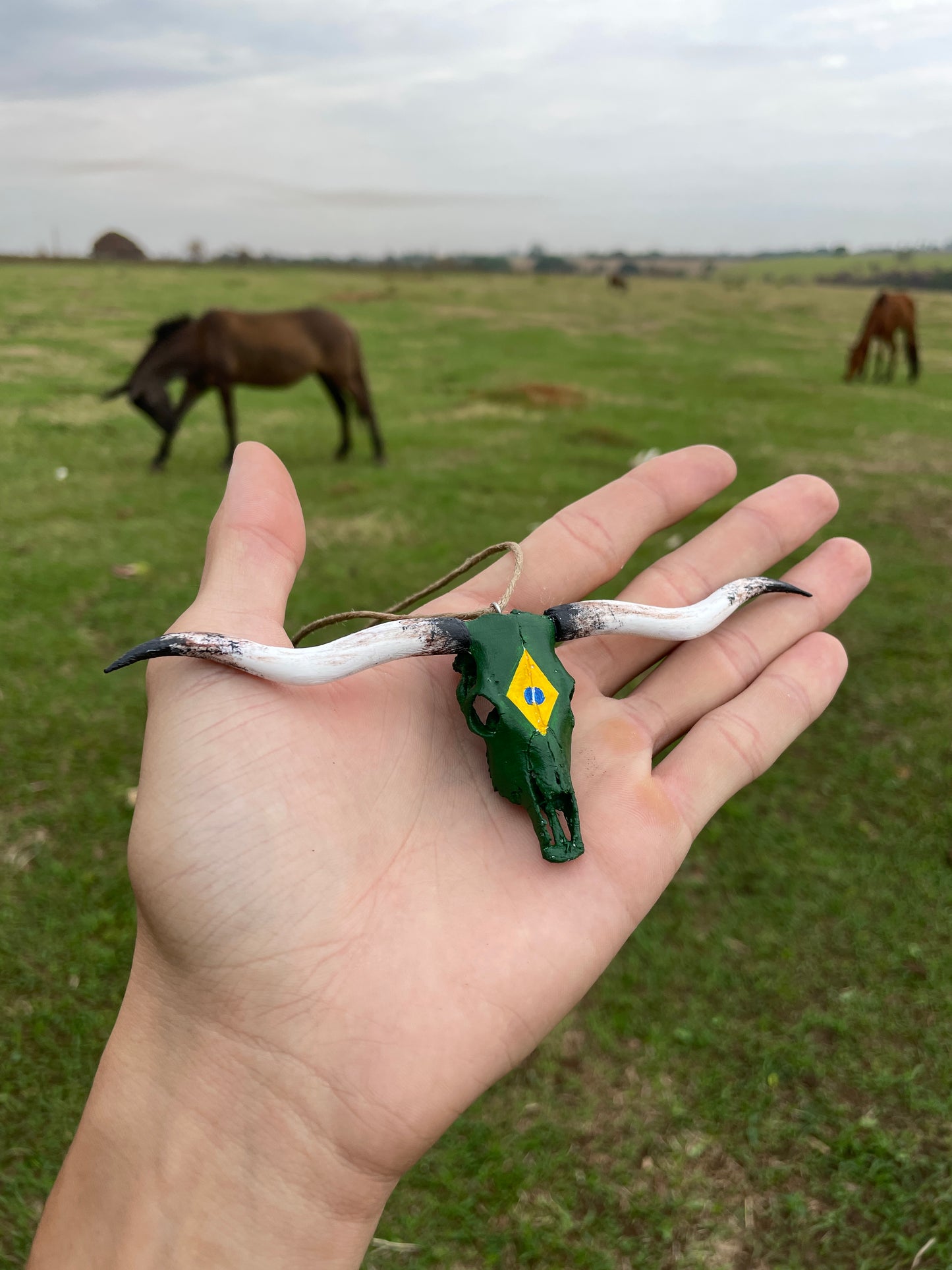 LongHorn Para Retrovisor