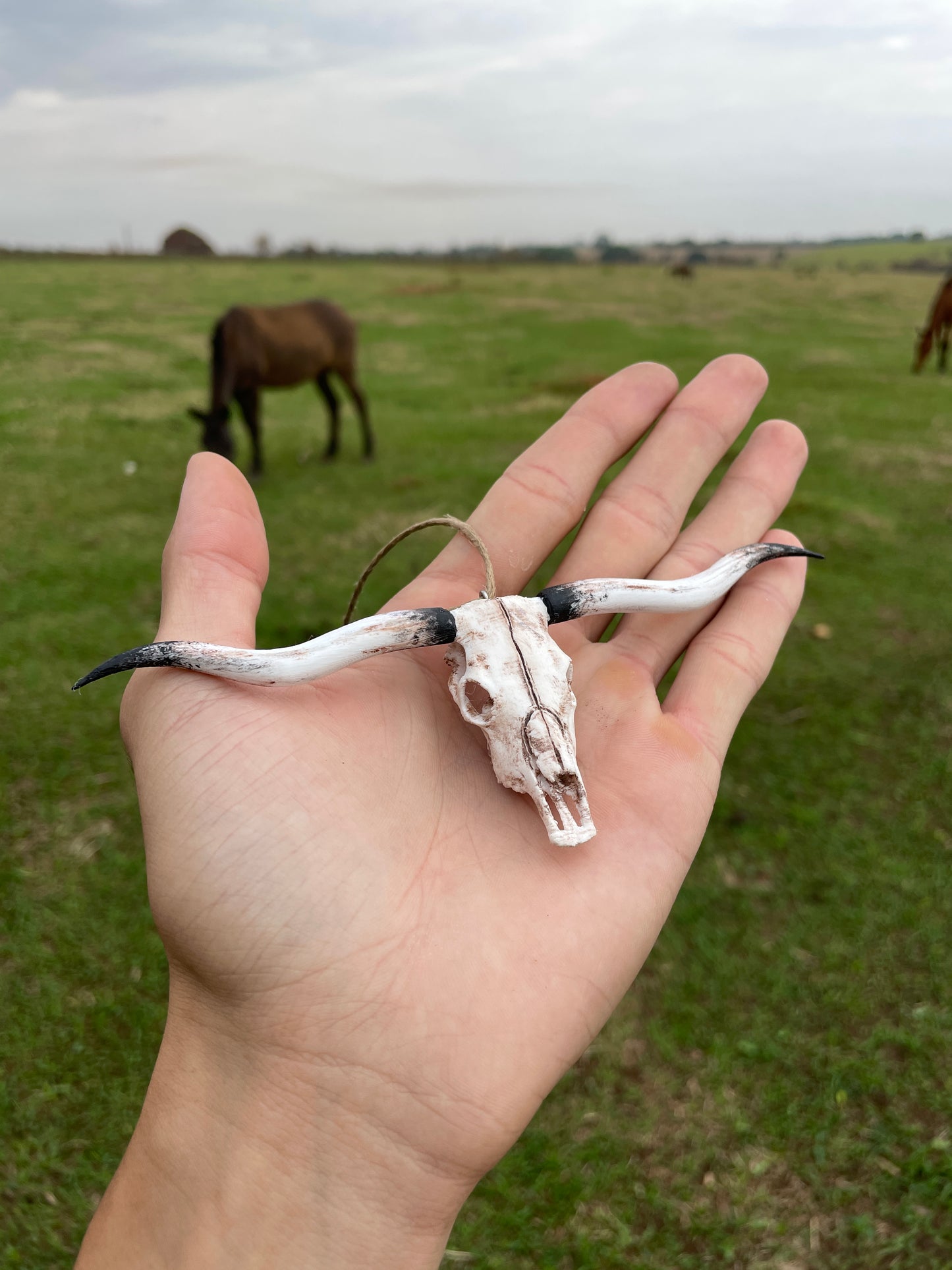 LongHorn Para Retrovisor