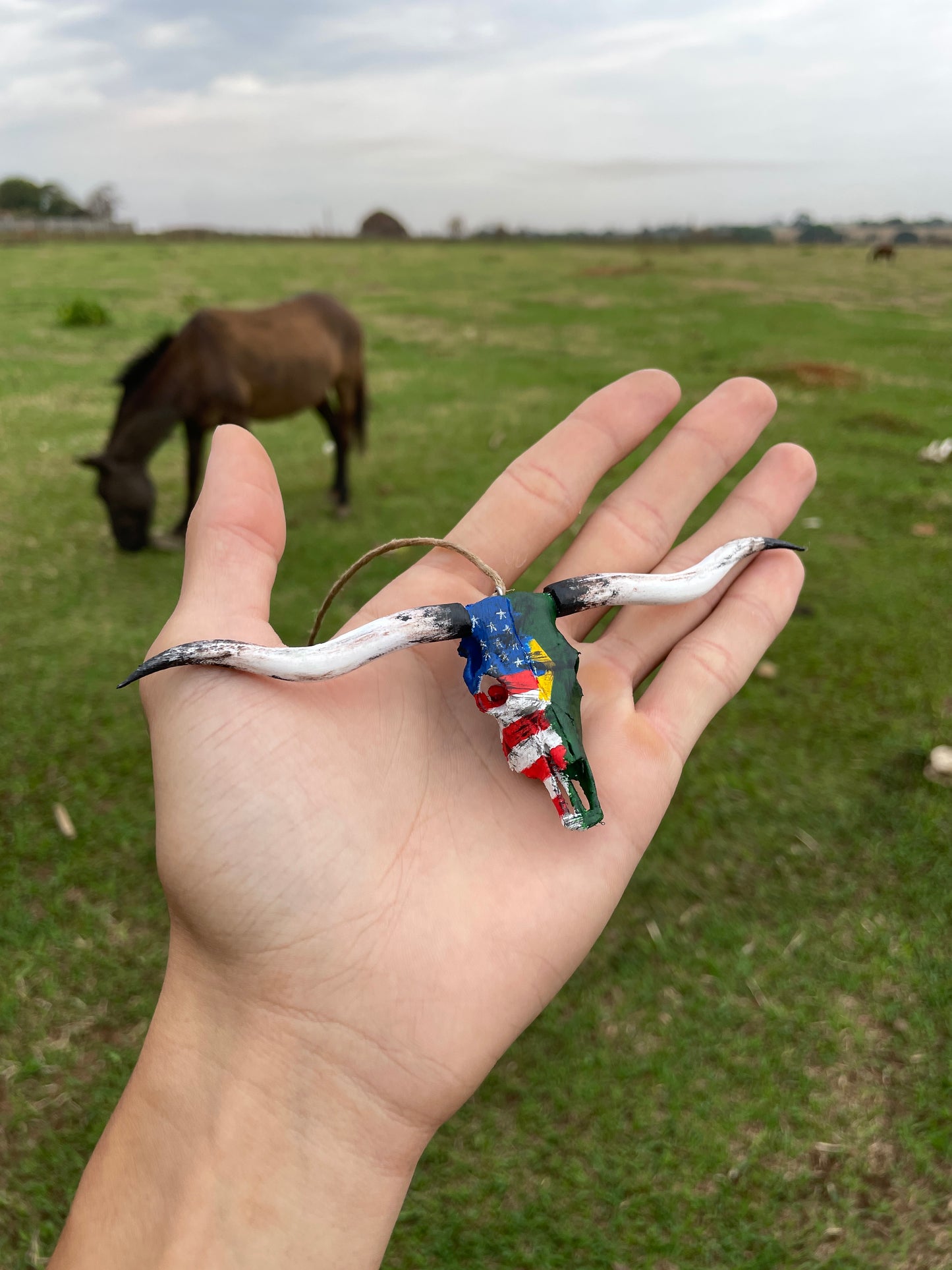 LongHorn Para Retrovisor