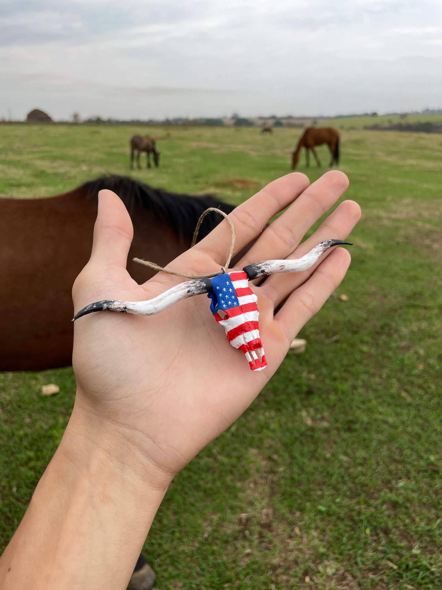 LongHorn Para Retrovisor