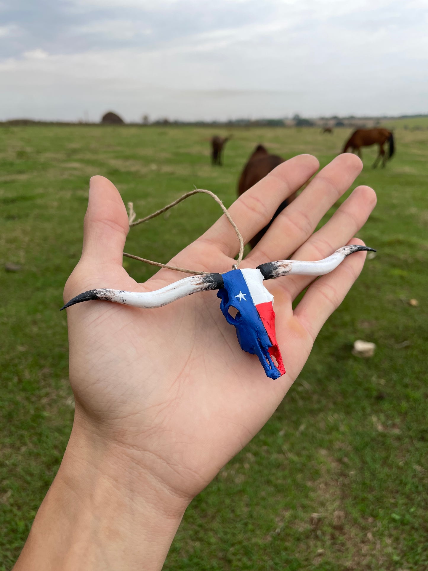 LongHorn Para Retrovisor