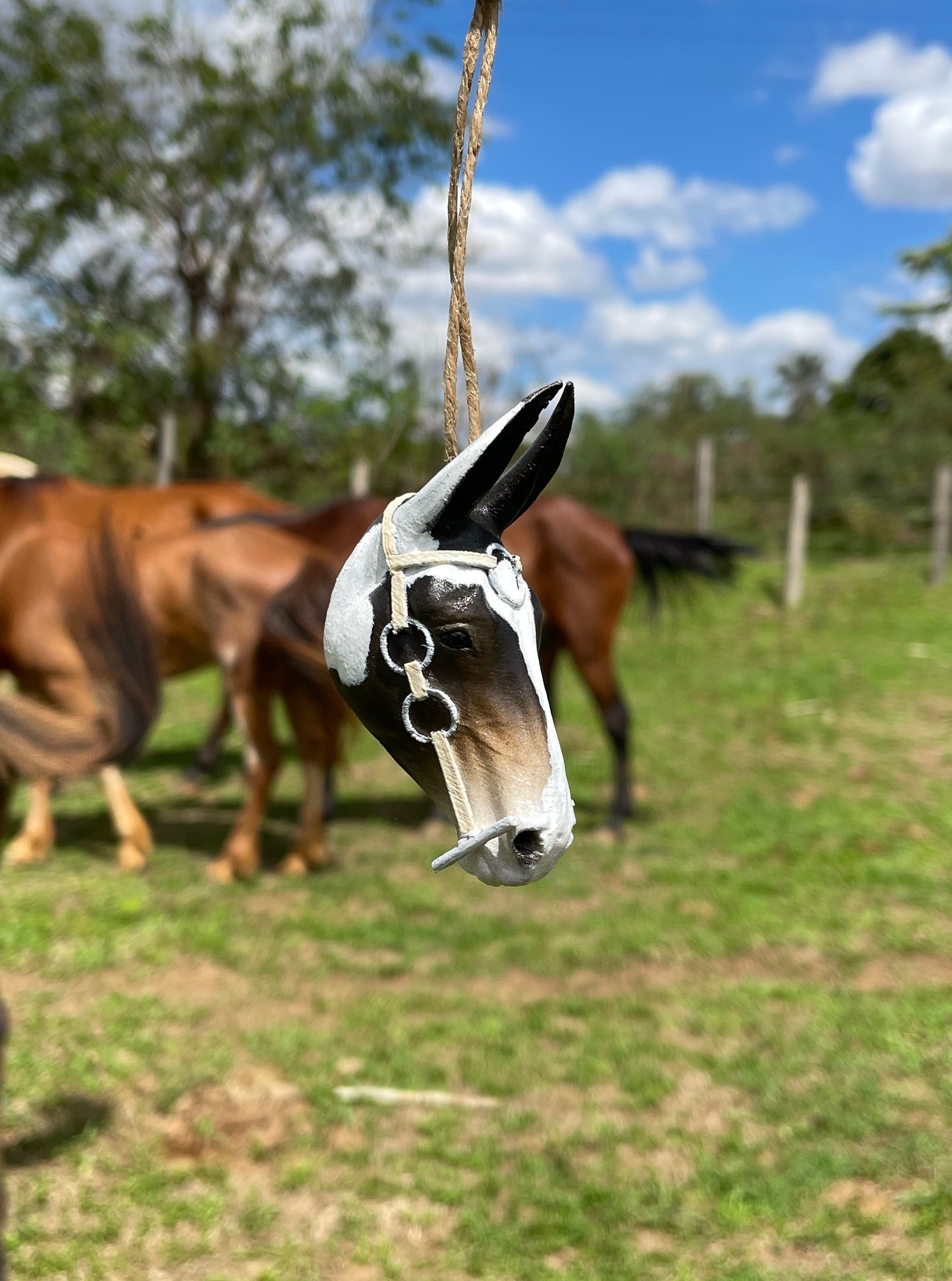 Mulinha Tempestade RZC