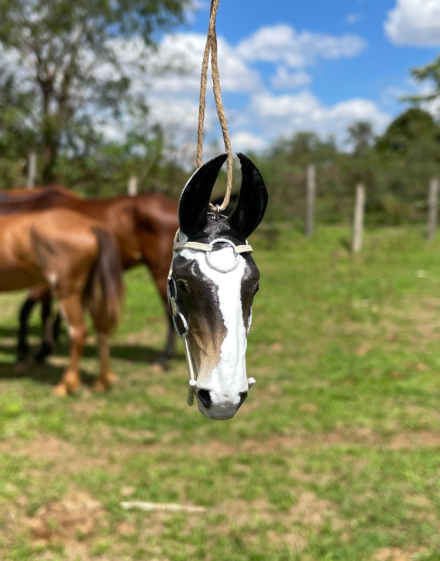 Mulinha Tempestade RZC