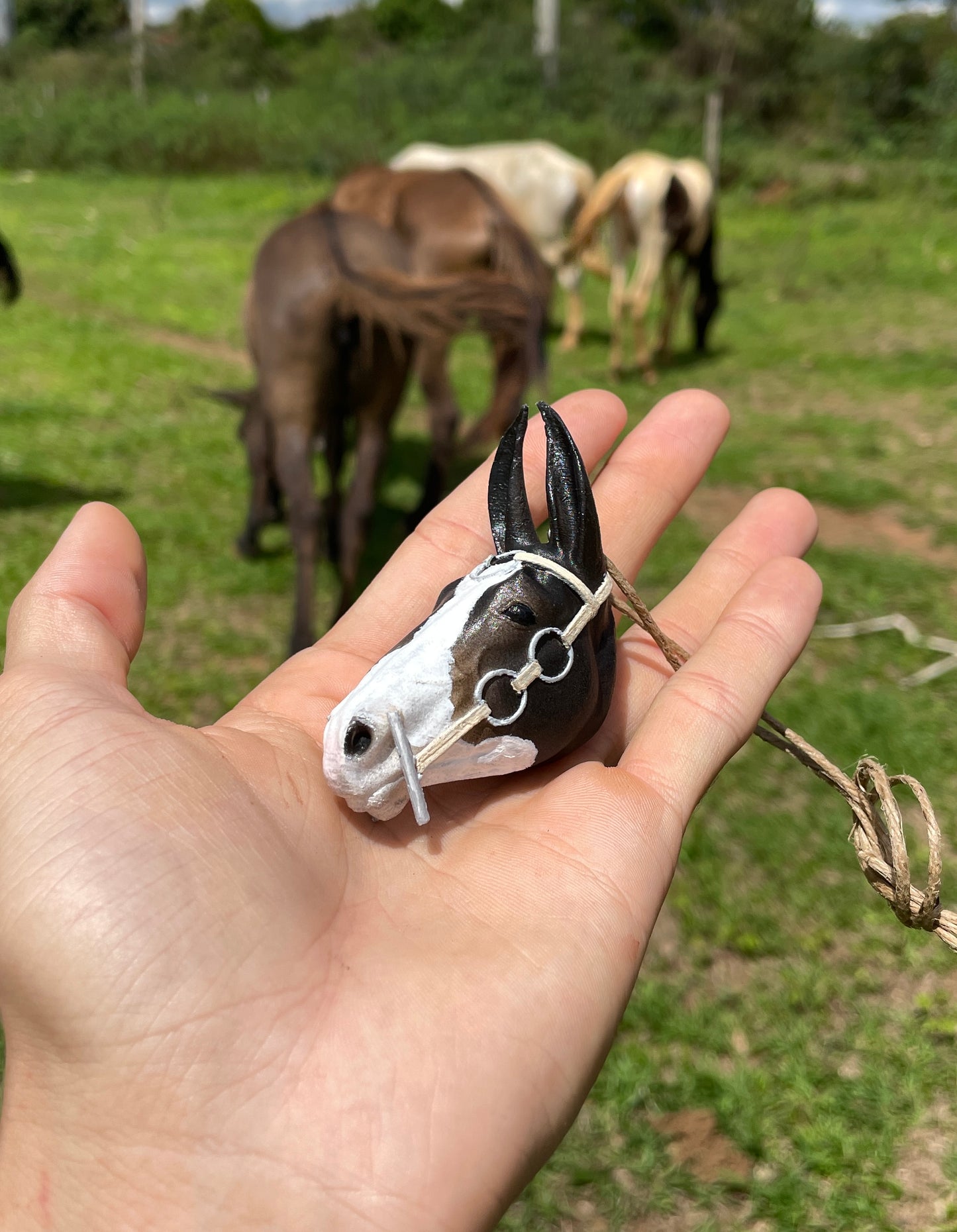 Mulinha Tempestade RZC