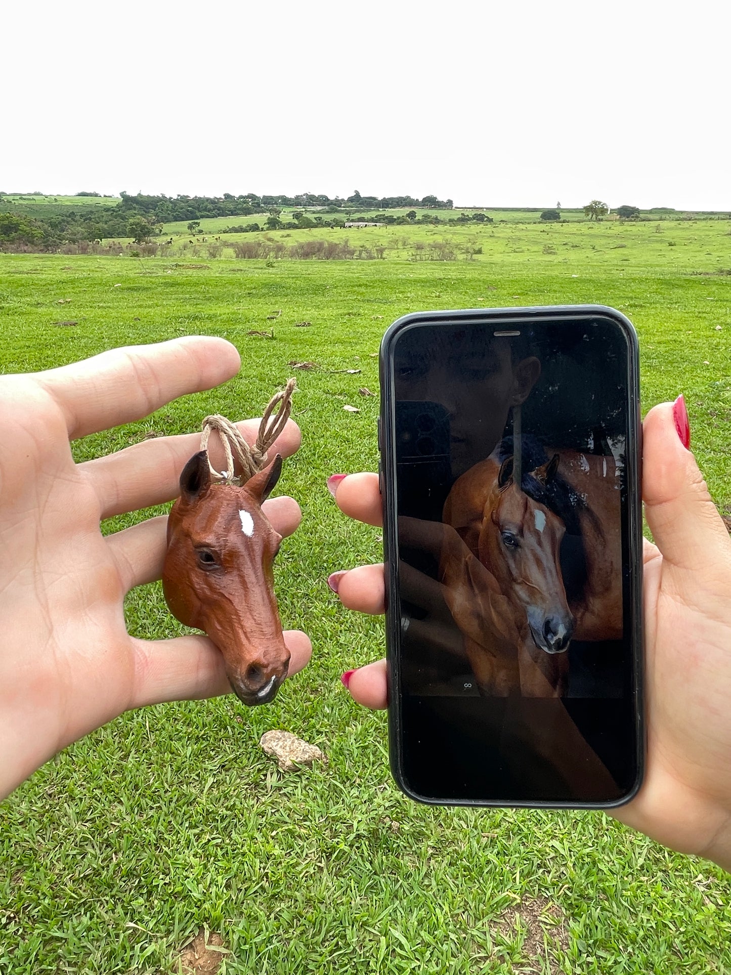 Cavalo para Retrovisor