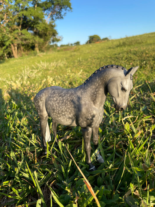 Miniatura de Cavalo Inteiro