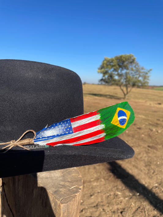 Pena EUA x Brasil