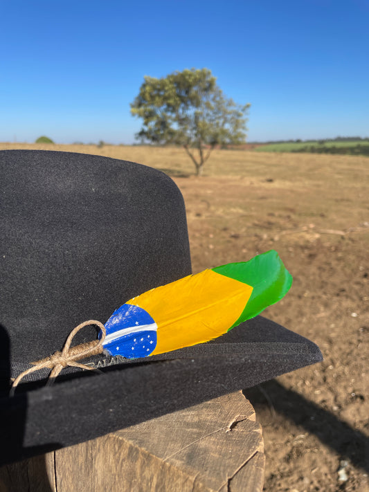 Pena Brasil