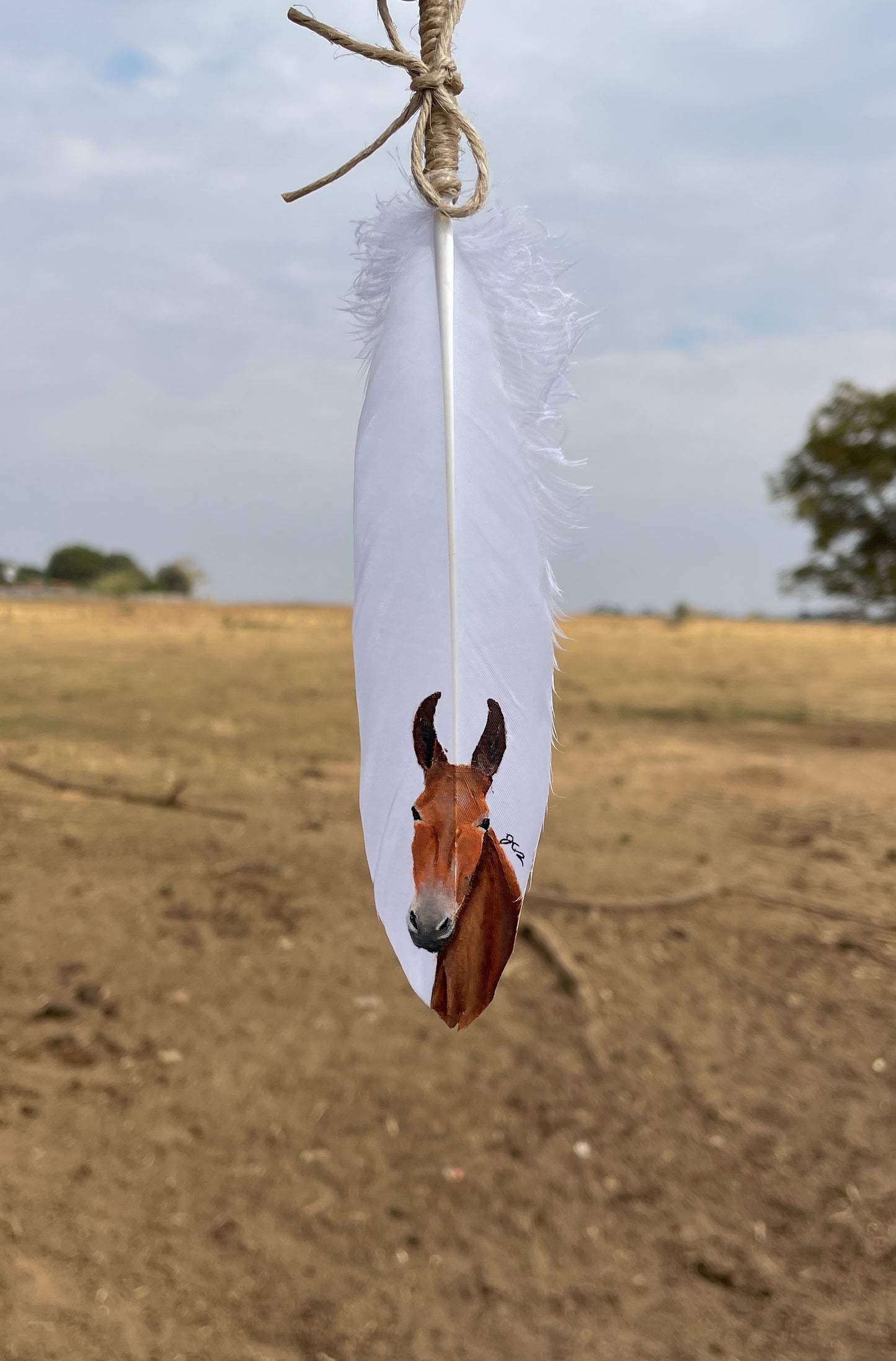 Pena Mula