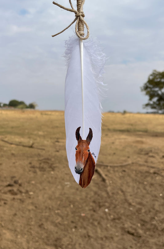 Pena Mula