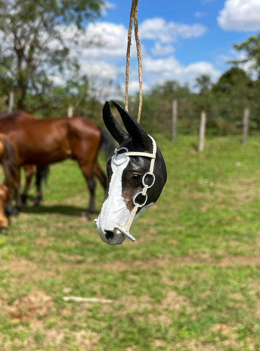 Mulinha Tempestade RZC